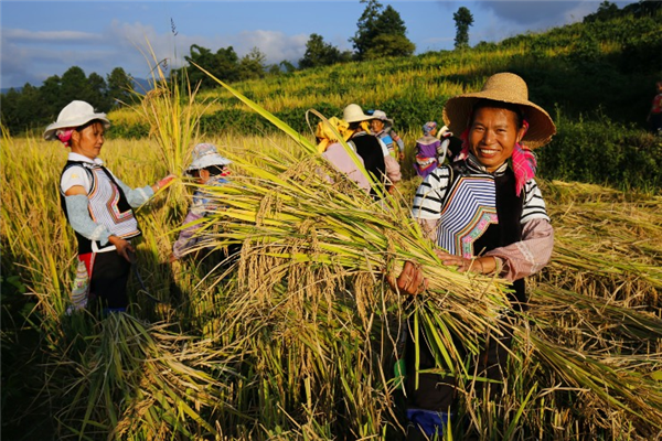 1281�ڣ�����Ͱ��׷������ƻ��ɼ��� ����18��������������¾ٴ�