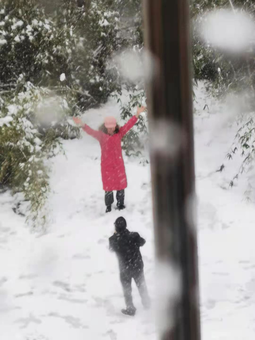 大雪纷纷，冒雪拍照，兴奋赋诗