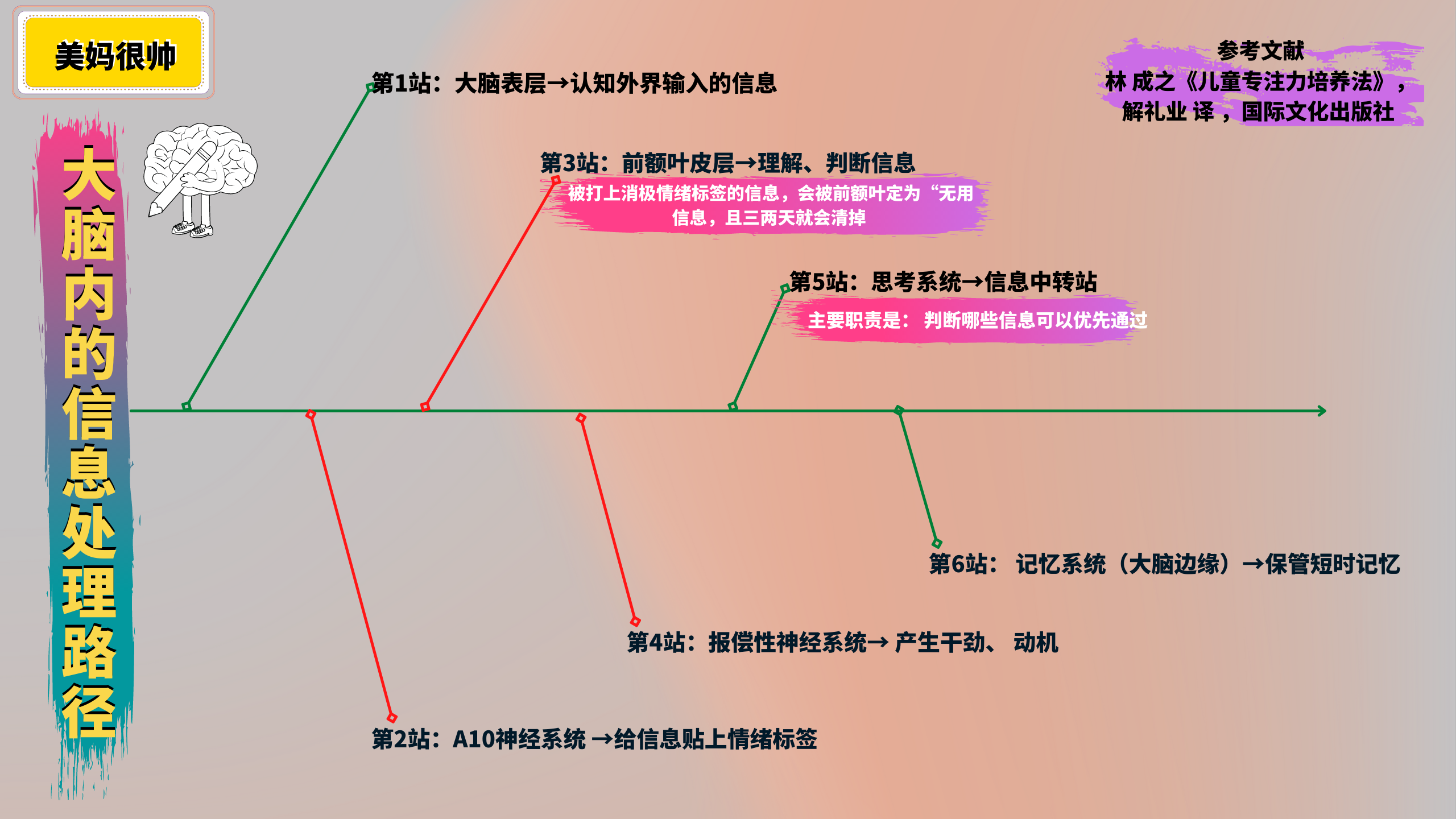 学霸的专注力怎么来的？知道大脑是如何产生专注力后，我恍然大悟