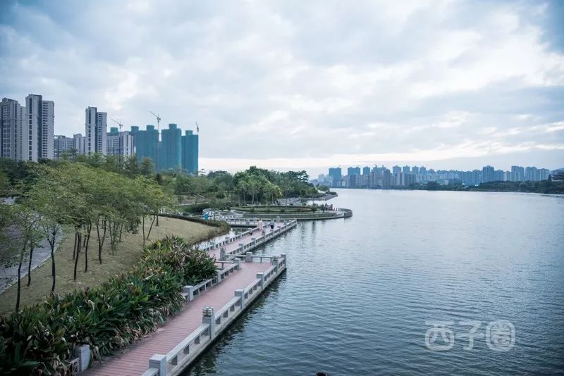 初夏好去处，惠州绿道最全合集来了！共28条！