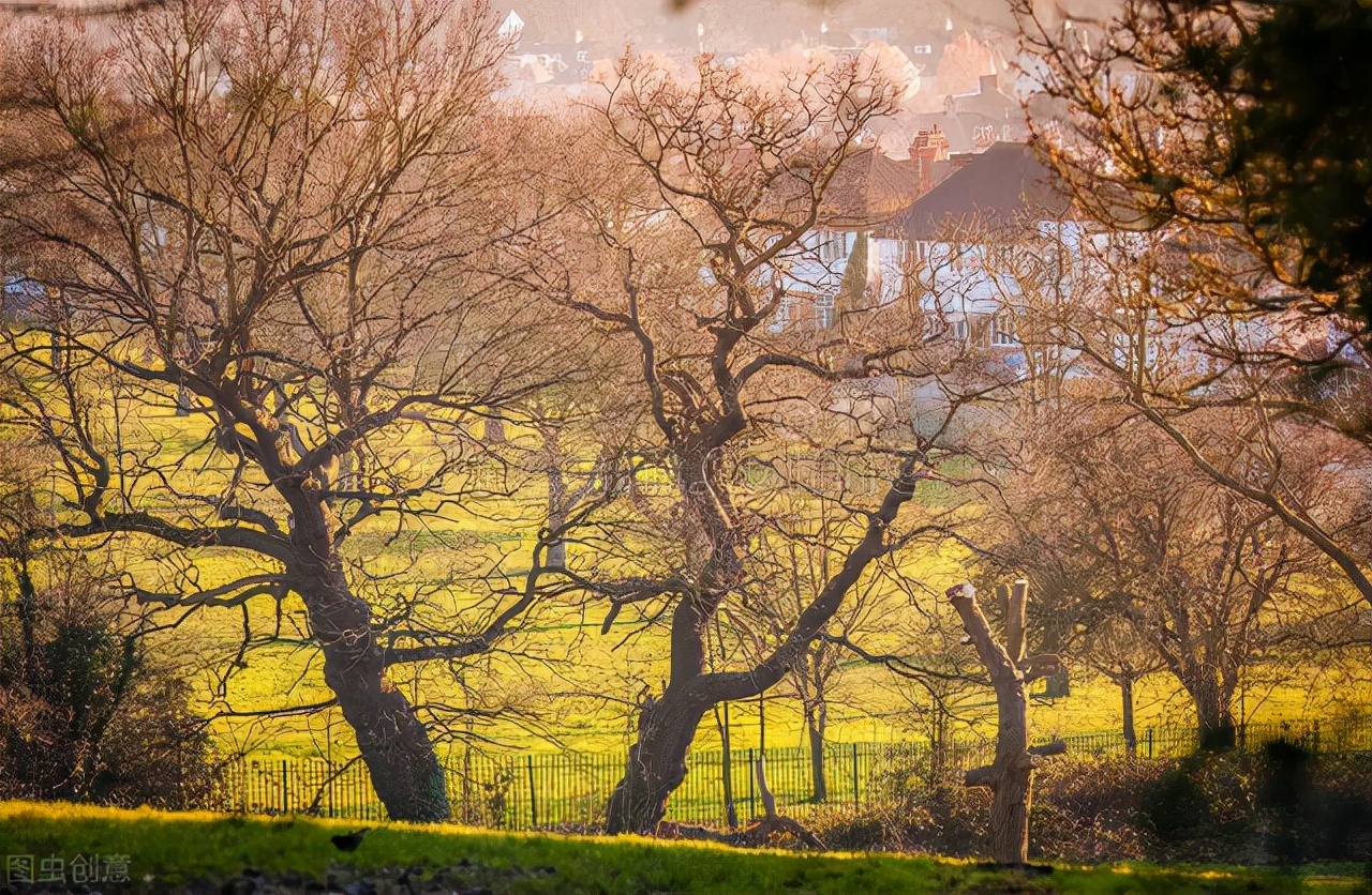 晚清教会学校的英语教学——我国小学英语教育的缘起