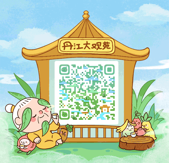 来了，丹江大观苑的夏天
