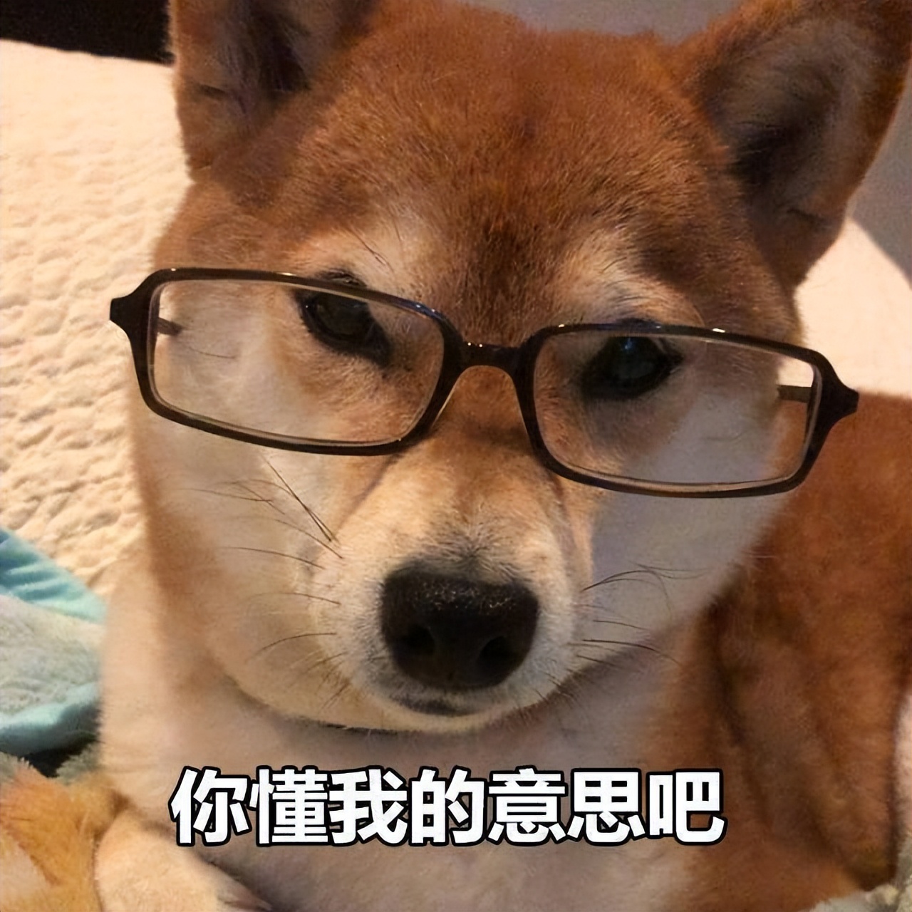 奇葩保险大盘点！竟然还有结婚险，加班险，防小三险，扶老人险