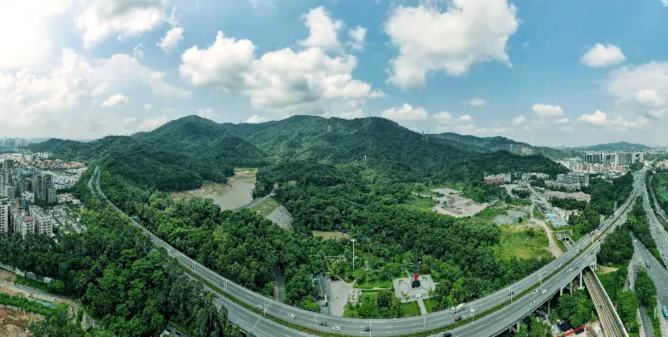 深圳北龙华大浪71-89平2-3房，配套成熟，到福田南山方便