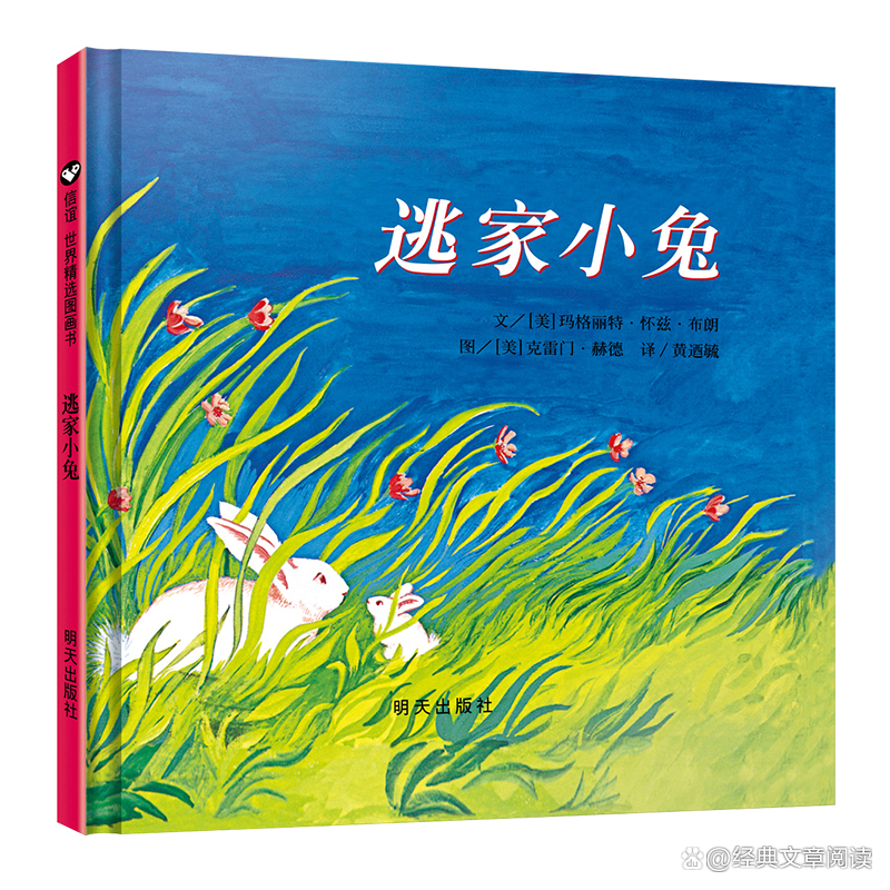 一年级经典绘本故事推荐书单（适合一年级的绘本阅读故事书）