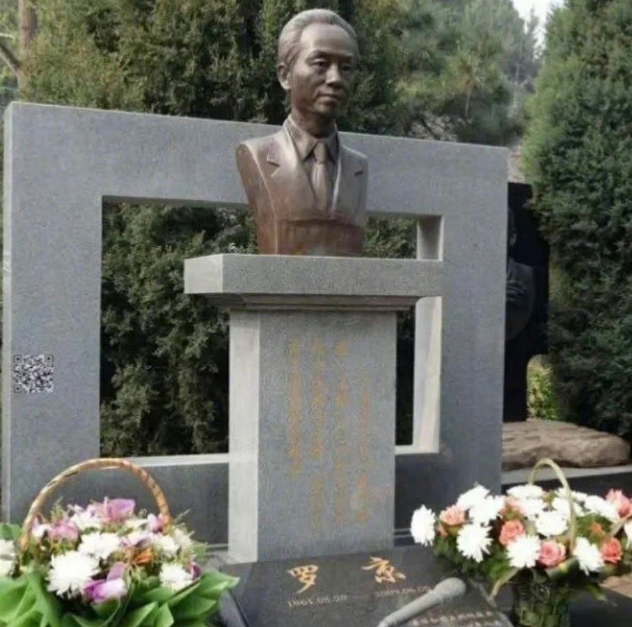 罗京遗孀刘继红：丈夫去世后7年后，公婆支持我改嫁