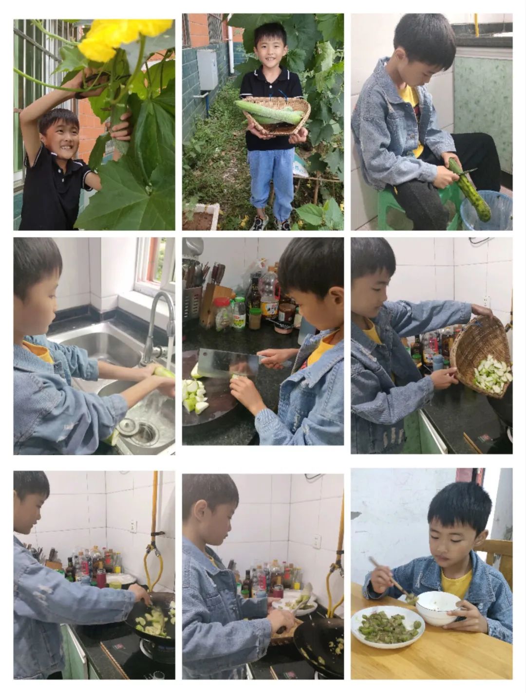 以劳动之名 收获成长之乐｜新兴小学开展“小农夫”劳动教育课程