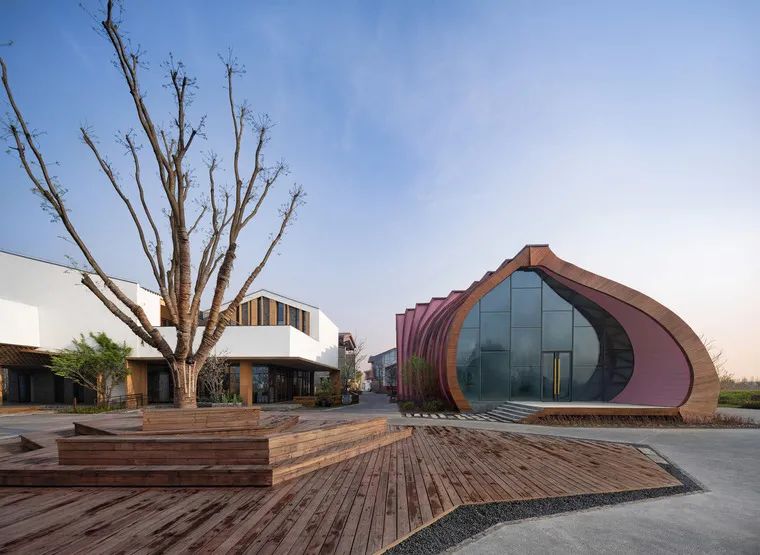 乡村改造，这样设计才够惊艳