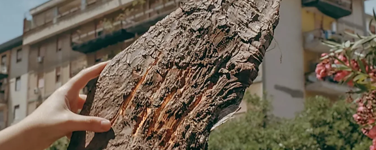 设计界的“孪生”铁饭碗？央美/LCC：社会设计真香