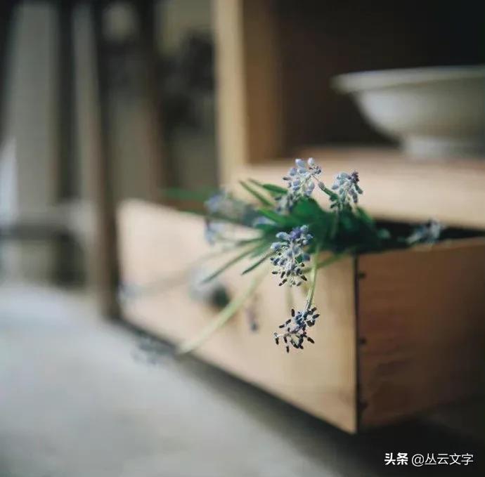 人生哲理名言精选：十句经典智慧语录