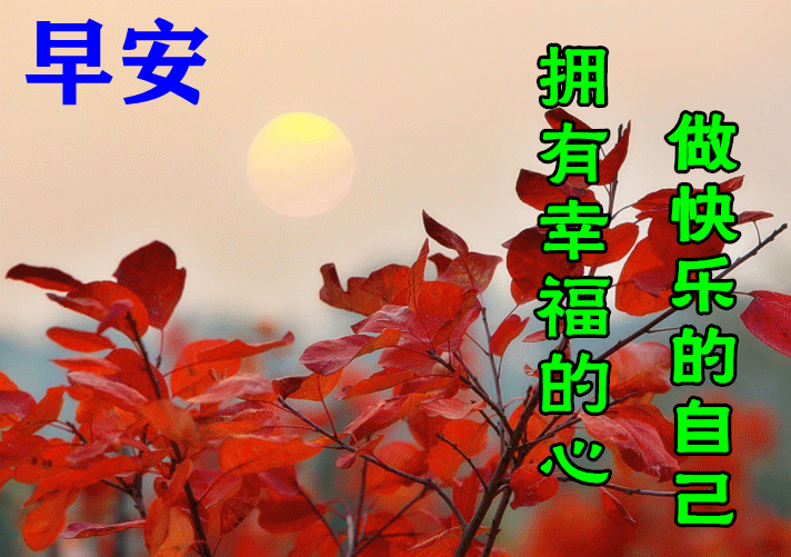 「2022.04.23」早安心语，世界读书日努力奋斗句子 早上好问候图片