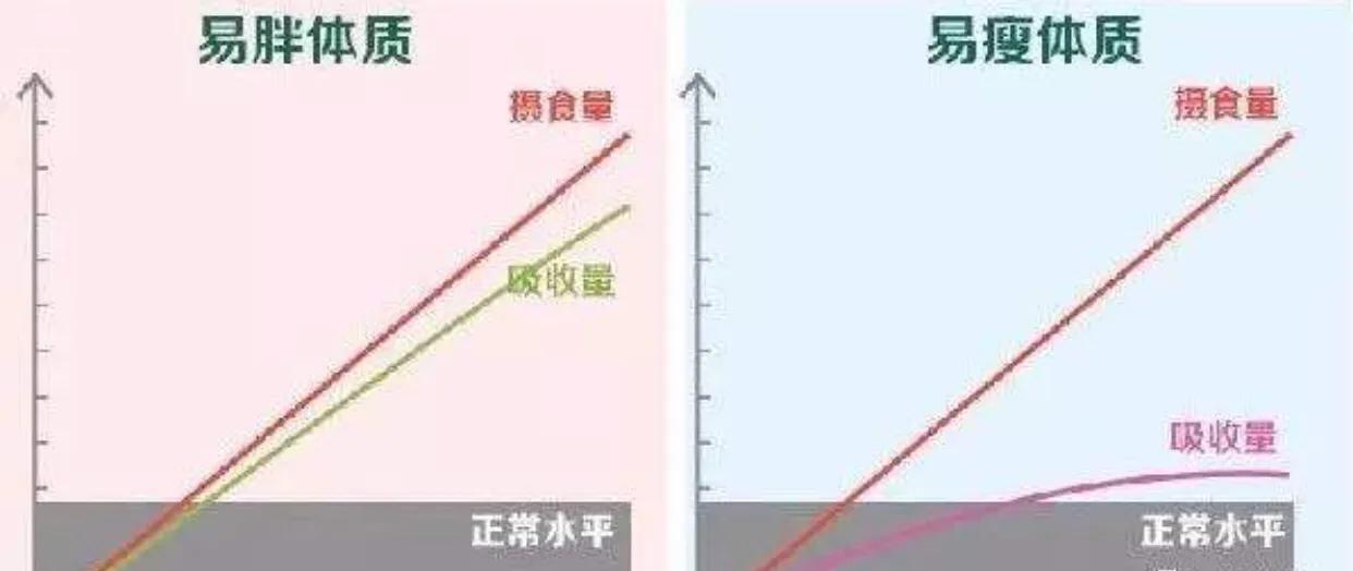 长胖显壮怎么办？刘亦菲暴瘦10斤显苗条，3个方法很有效