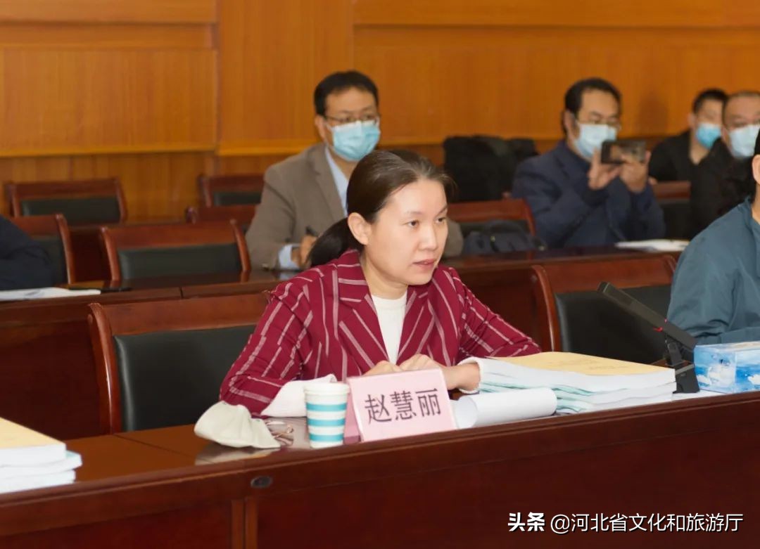 河北省国家艺术基金2023年度预申报项目专家评审会在石家庄召开