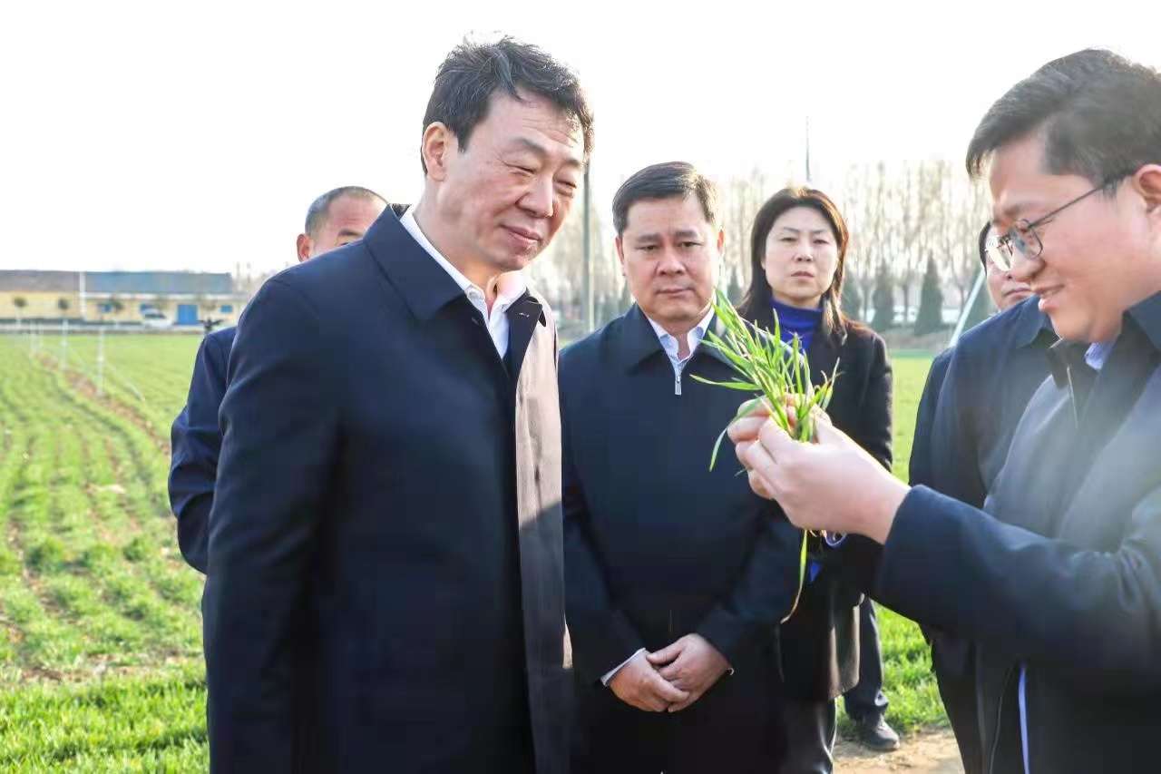 任刚到郯城兰陵调研春季农业生产工作