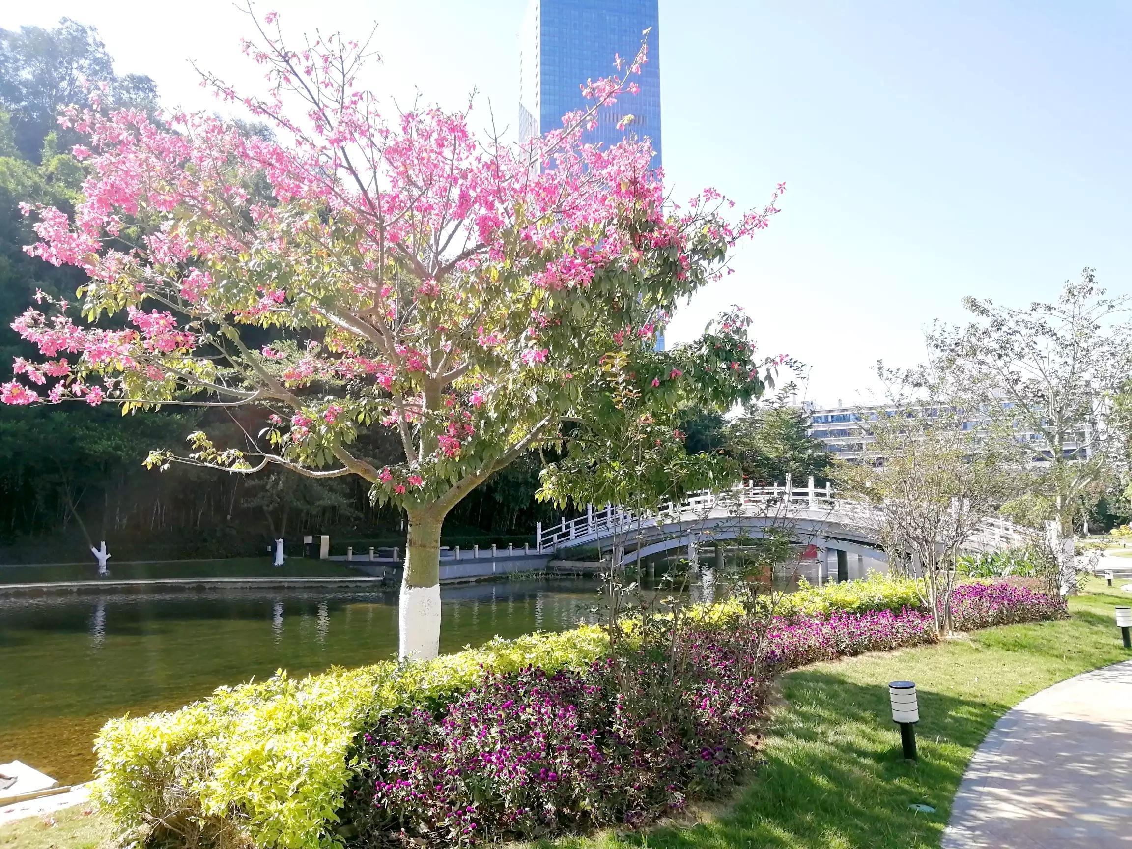 地铁4号线大学城游玩攻略，领略那不一样的广州大学城风光（C篇）