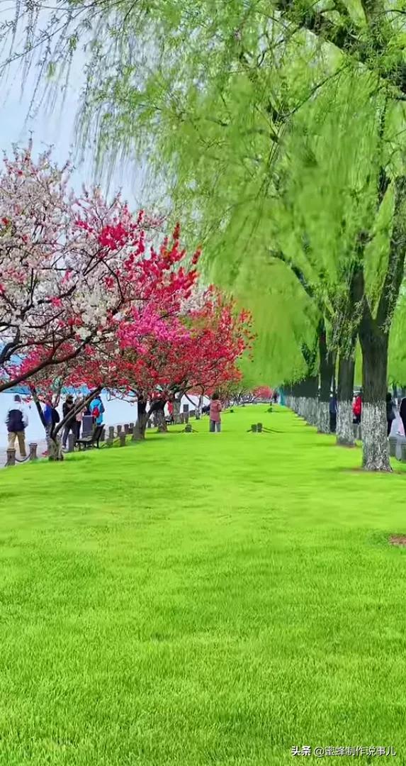 鲜花盛开，一路芬芳醉人