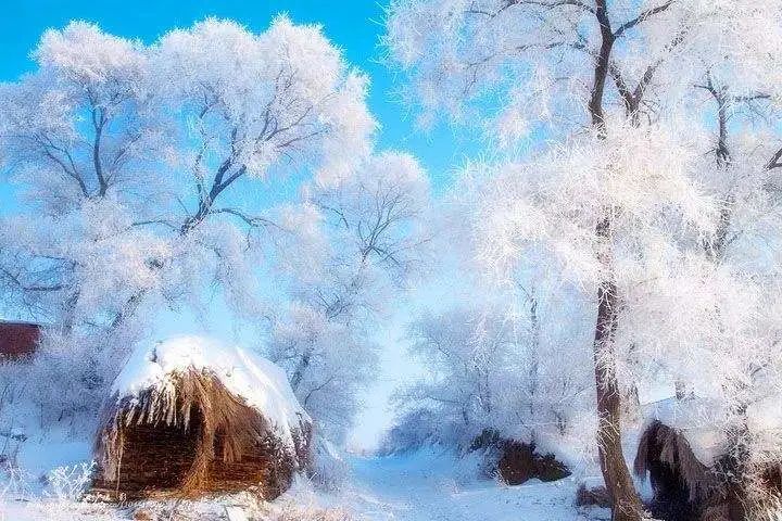 塞北的雪，冷凝而纯洁