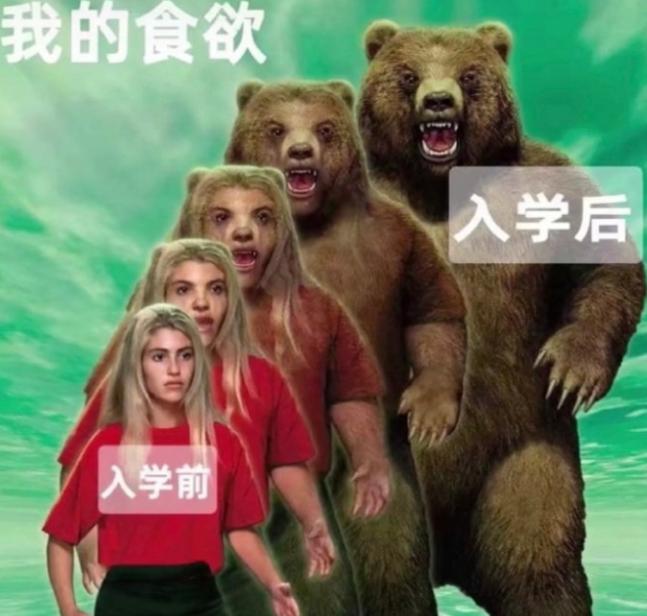 “行动能力逐渐退化”，大学生用梗图吐槽4年变化，简直人间真实