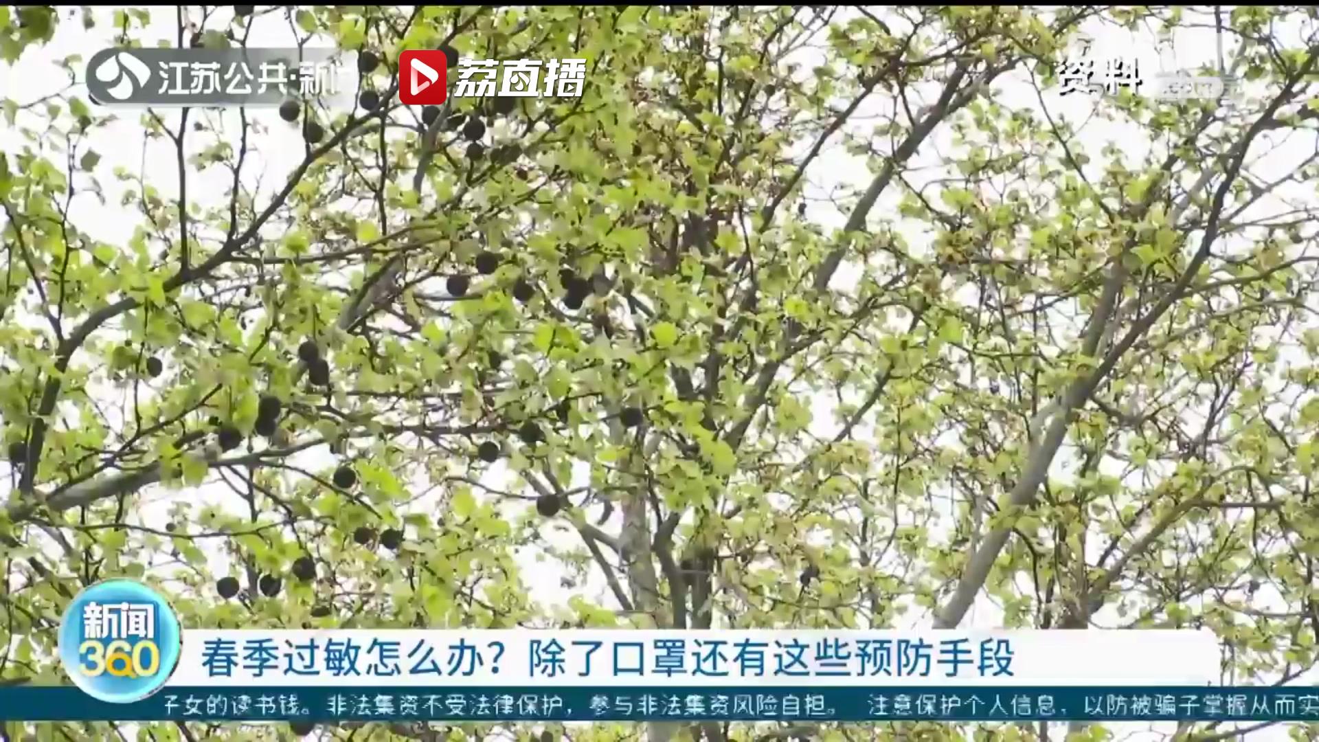 预防春季过敏 除了口罩还有这些预防手段
