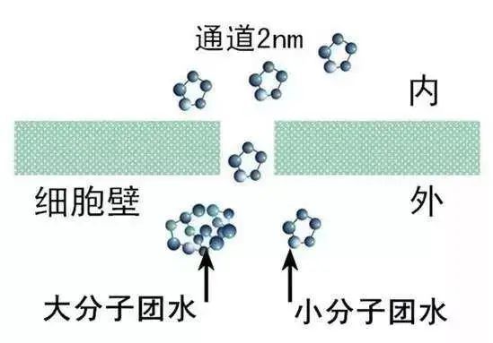 细胞喝水才是真的喝水 「好百邻健康水」 就是您最好的选择