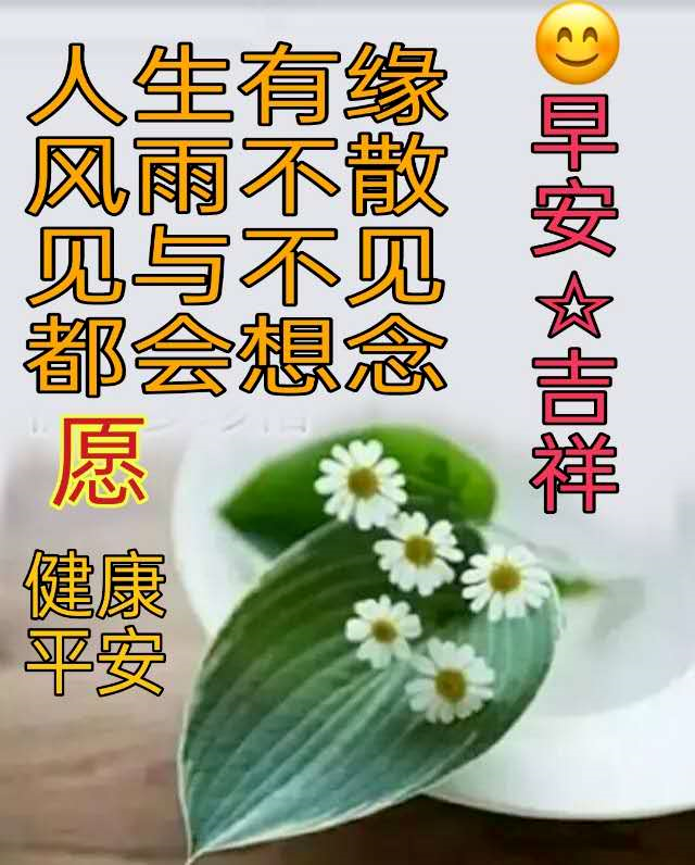 花妩媚，因为蝴蝶在追；梦已醉，因为月色很美