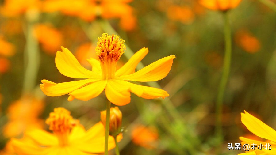 当相爱过的人不再联系时，聪明的女人通常会这样做，希望你也可以