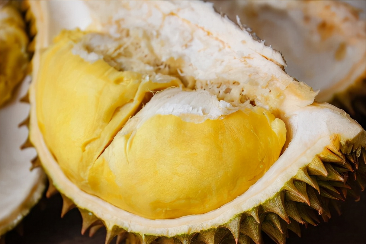 过年买榴莲,长刺短刺哪种好?果农教您5招,皮薄肉多,软糯香甜