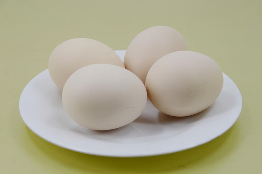鸡蛋，鸭蛋，鹅蛋，鸽子蛋，鹌鹑蛋，除了大小，差别在哪？