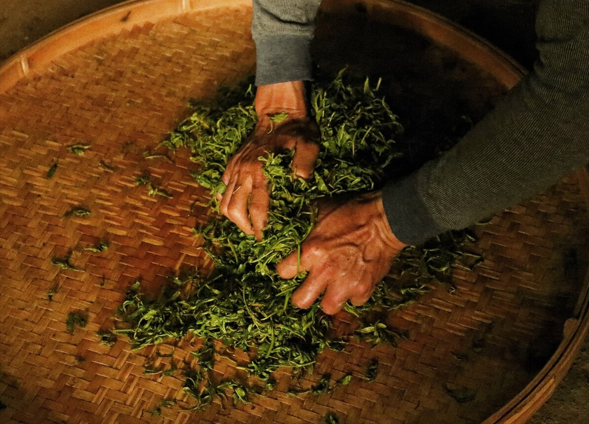 食用香精对人体有害吗（教你3招轻松鉴别香精茶）