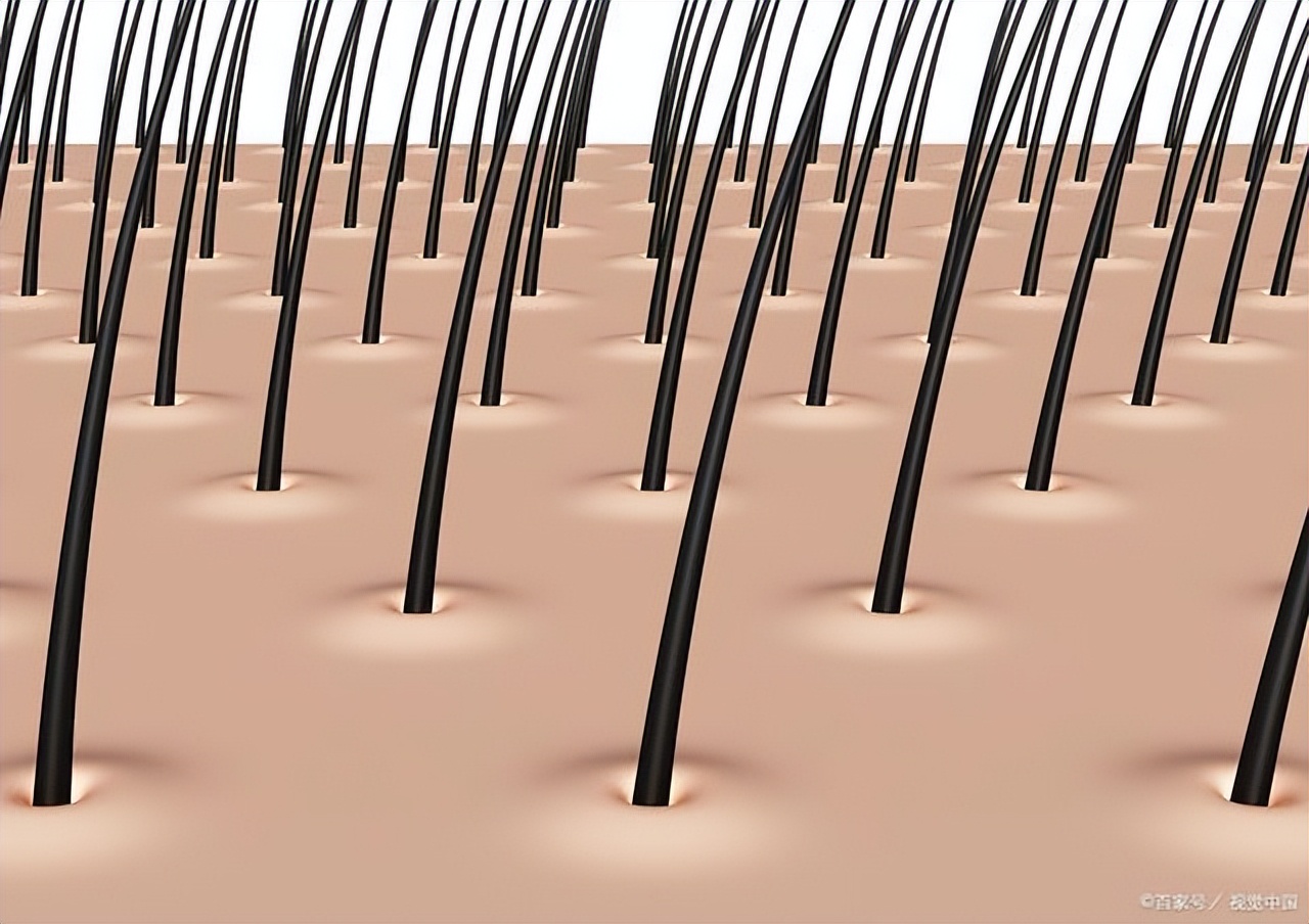 男性胡子长得快，暗示了什么？刮胡子的频率与寿命有关吗？