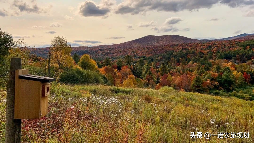 为什么有的乡建项目投了很多钱，却做不起来？