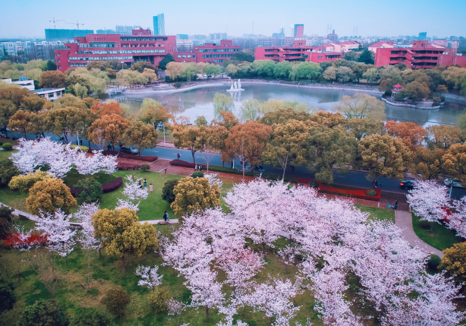 全国985、211大学名单一览：考上就业很吃香，考生提前了解