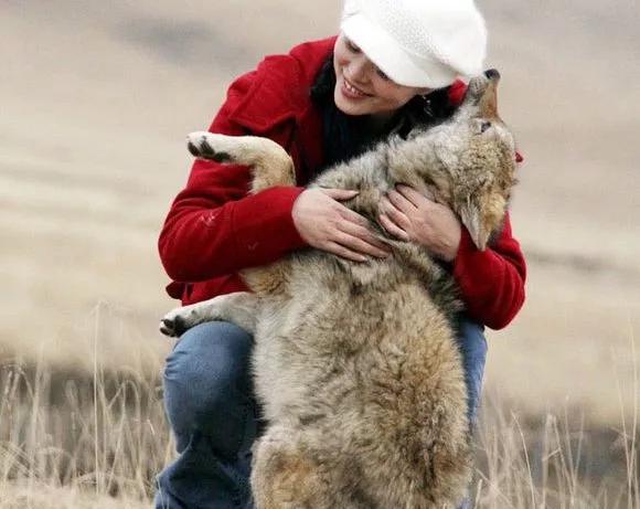狼抱着女孩图片(四川女子) - 赤虎壹号