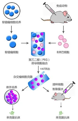2021����ѧ��ʮ�����ͻ�ƣ���һ����ޣ��ӵ����Ľ������