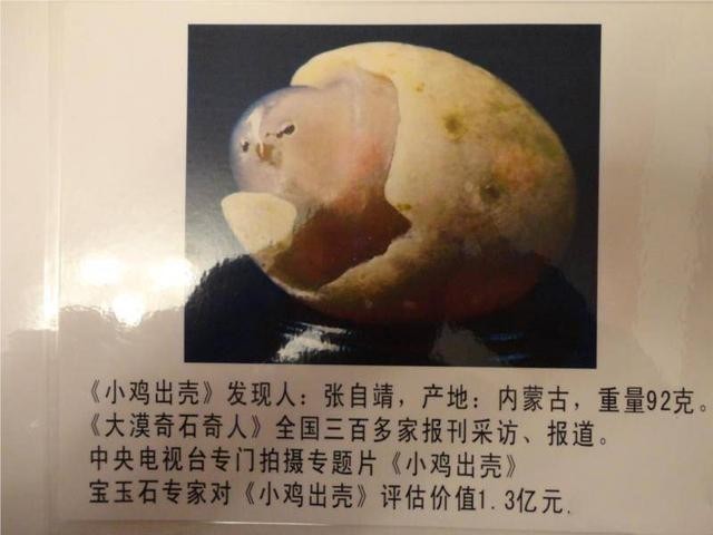 15年山东男子捡到熊猫奇石，有人出价百万也不卖，专家估值1.5亿