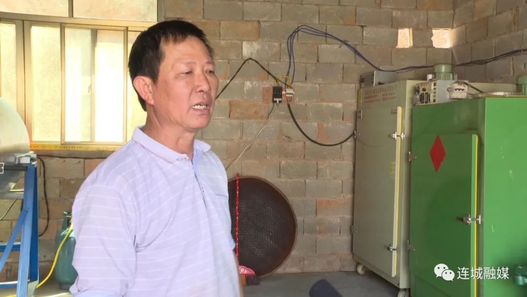 「全面推進鄉村振興」連城宣和：茶園飄香采茶忙