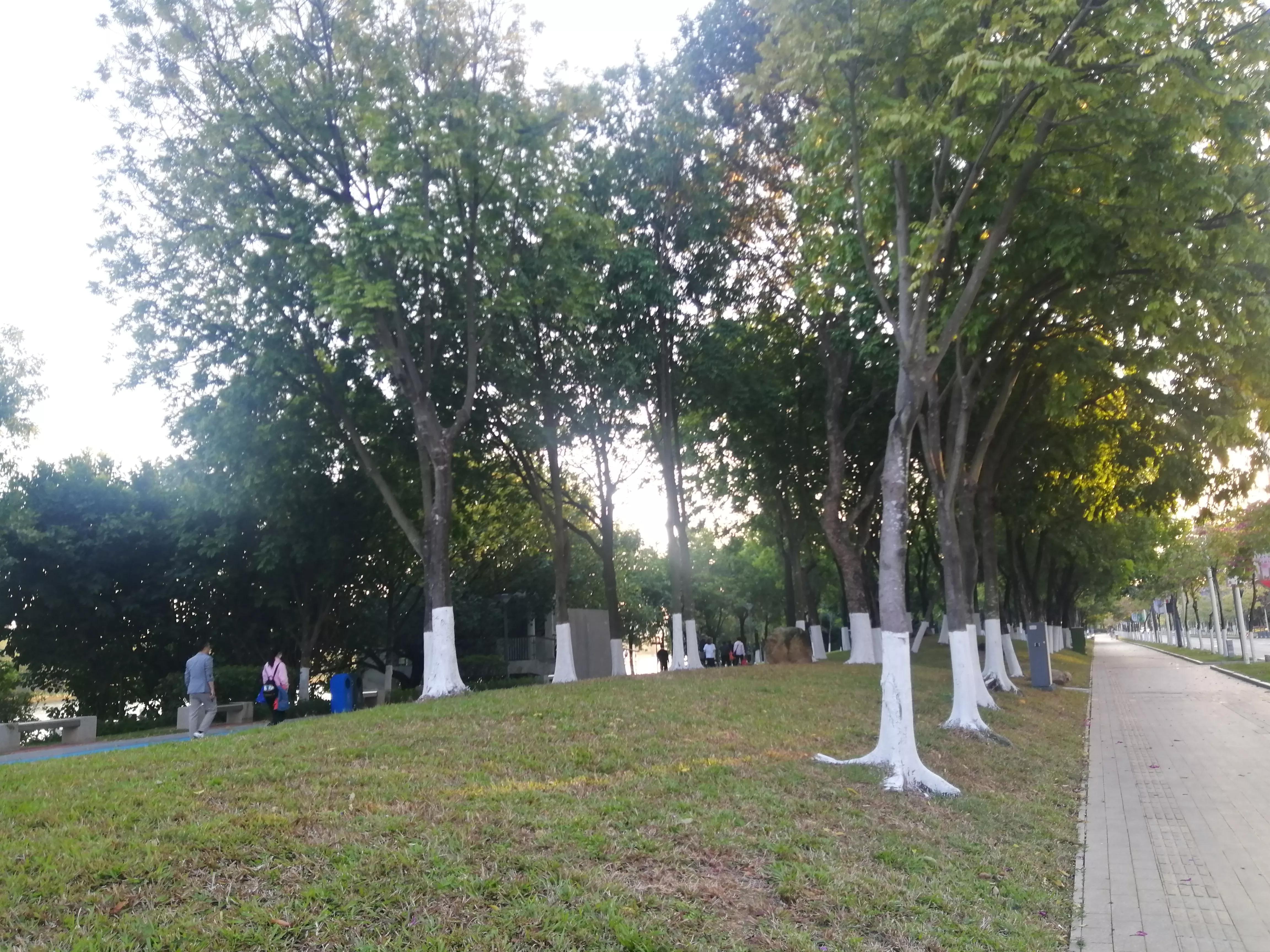 地铁4号线大学城游玩攻略，领略那不一样的广州大学城风光（C篇）