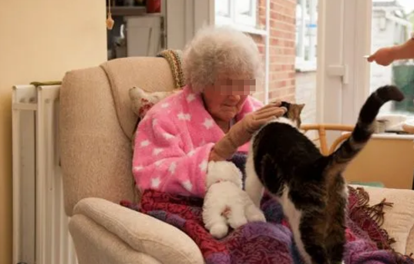 英国老奶奶爱上小50岁埃及小鲜肉，闪婚成功，英国首相回信支持