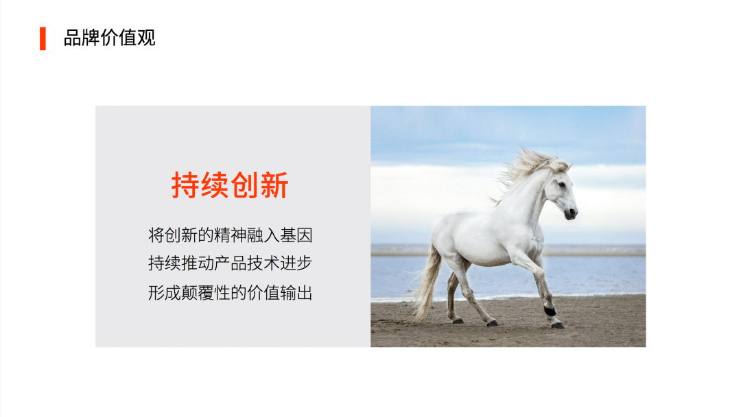 智变未来——Nullmax品牌全案策划设计