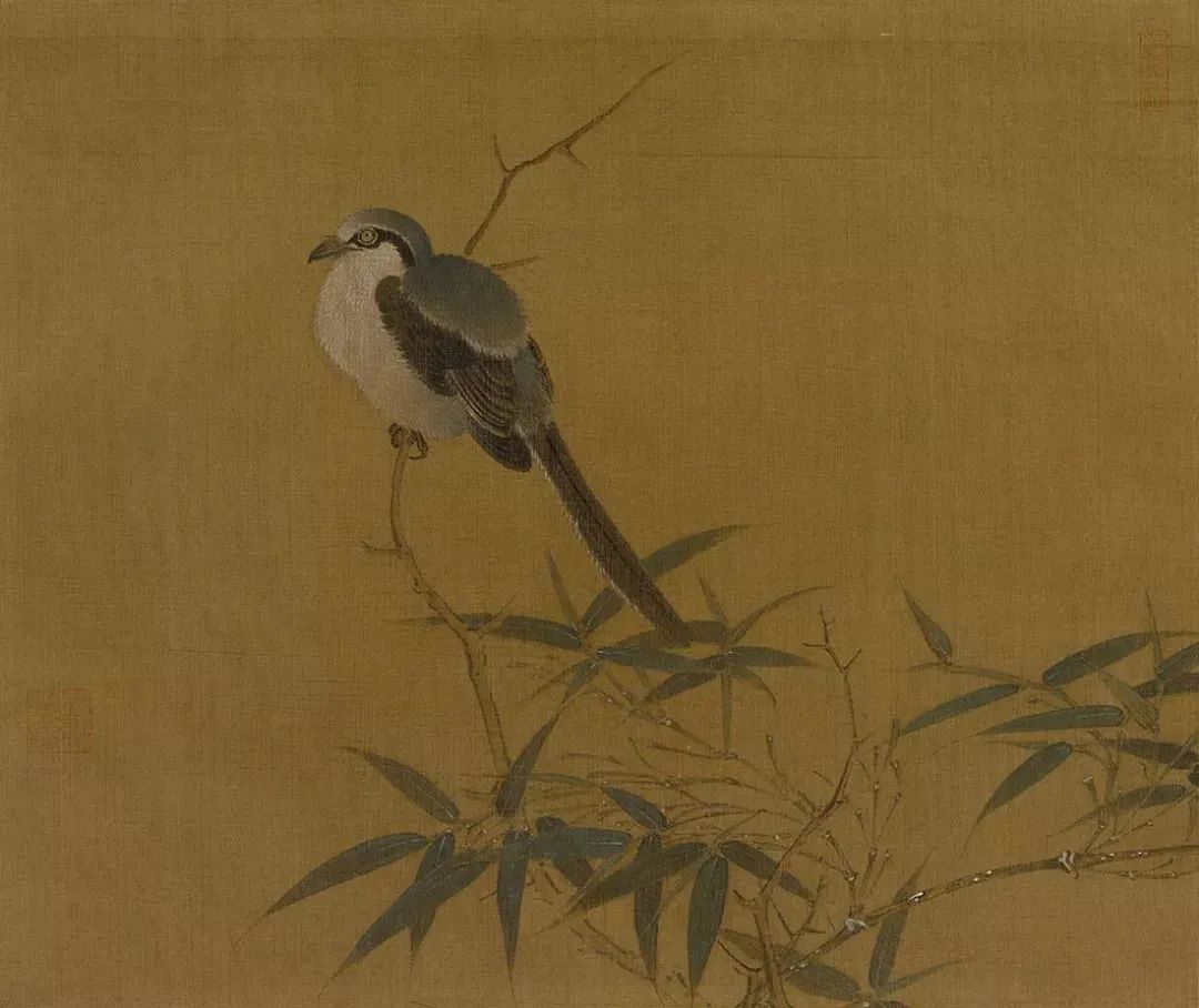 款款翩翩，不疑春深画中