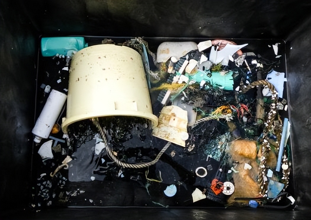 生态头条 | 人类纵的这把火，终于烧到自己身上