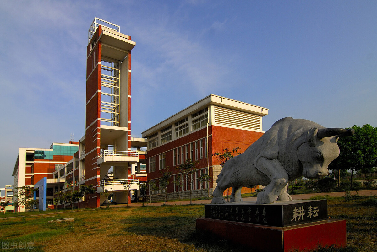 单招有哪些学校（河南发展潜力巨大的5所高职院校）