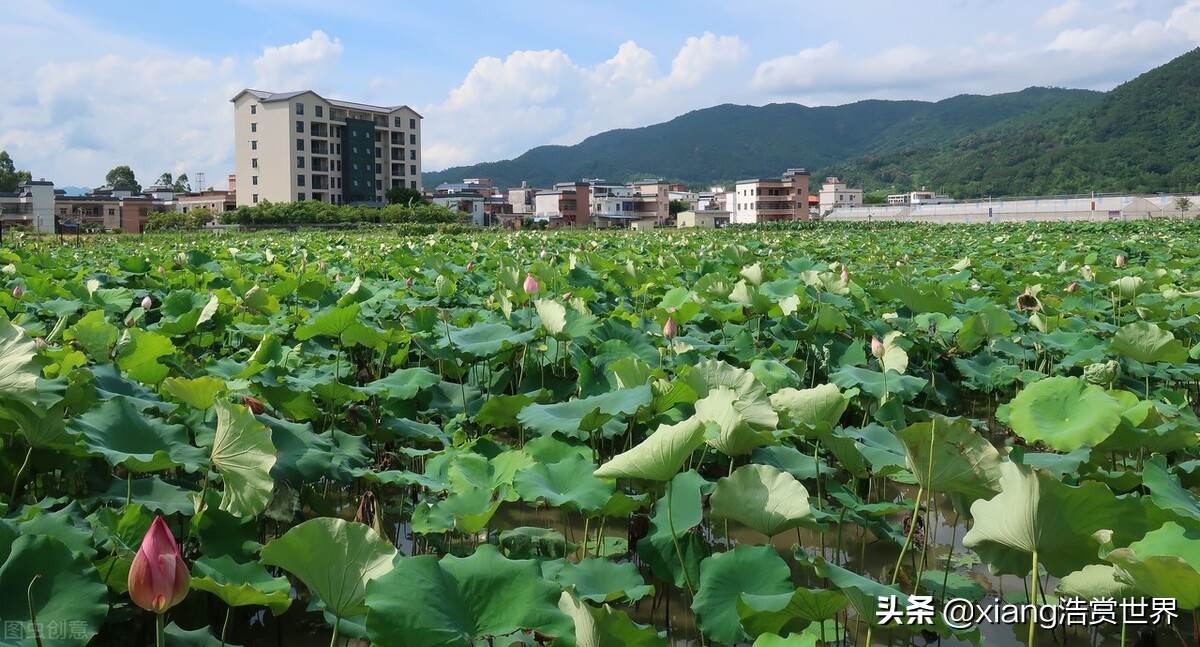 广东曾经的三个国家级贫困县，富在珠三角，穷在粤东、粤北