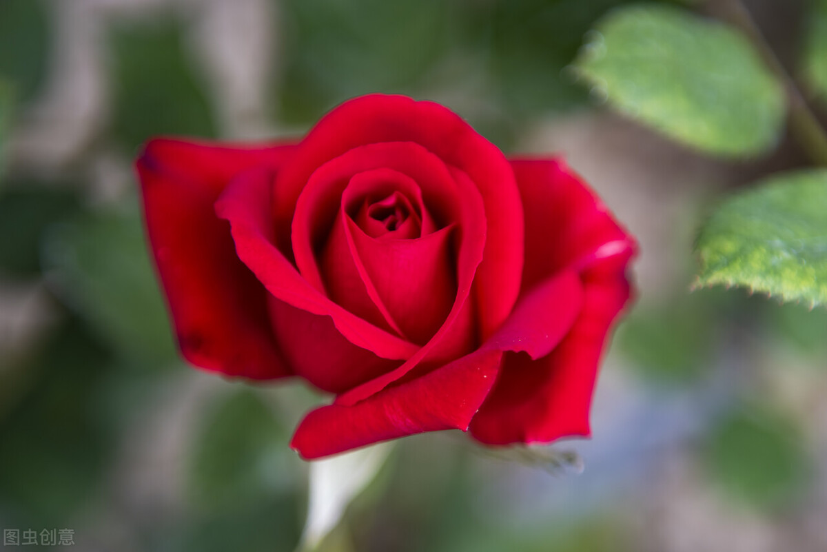 关于缘分的唯美句子写给最爱的人