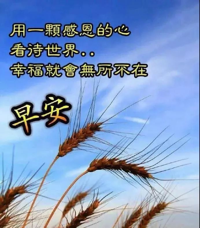 「2022.04.23」早安心语，世界读书日努力奋斗句子 早上好问候图片