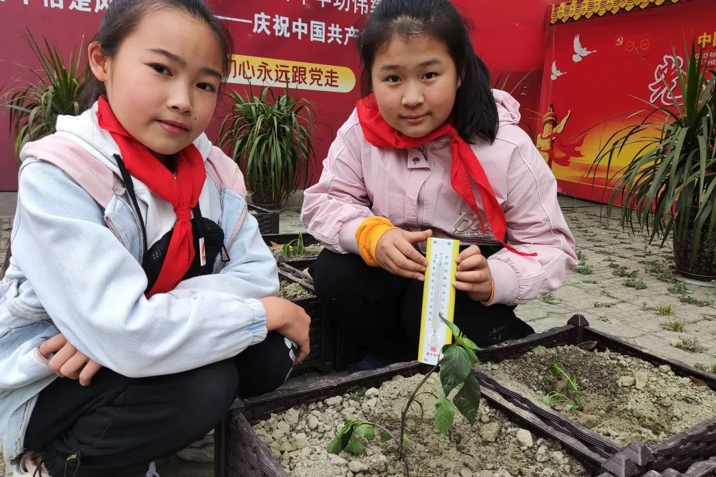 少年强则国强，5.4中队正铿锵｜走进天府新区南湖小学优秀中队