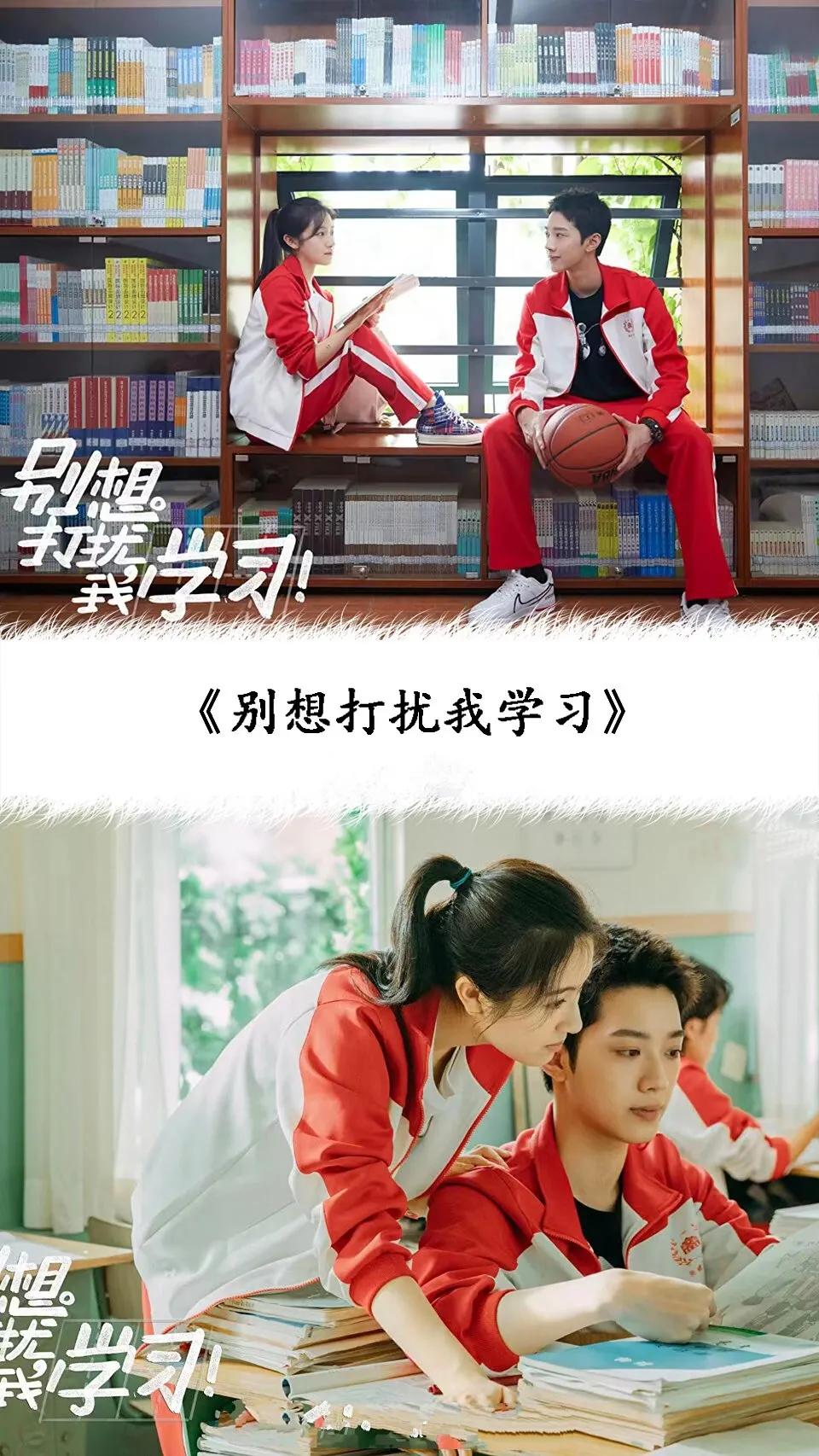 20部从校服到婚纱甜美爱情电视剧