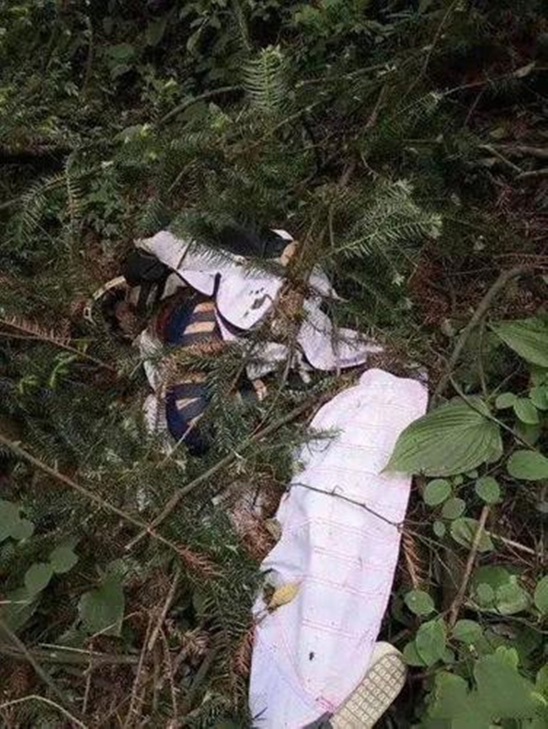 2020年，大学生刘安在天门山翼装飞行时遇难，这项极限运动值得吗