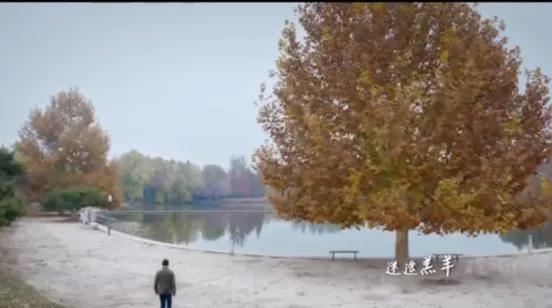 「张信哲」阿哲与爸爸合作歌曲《苍苍》