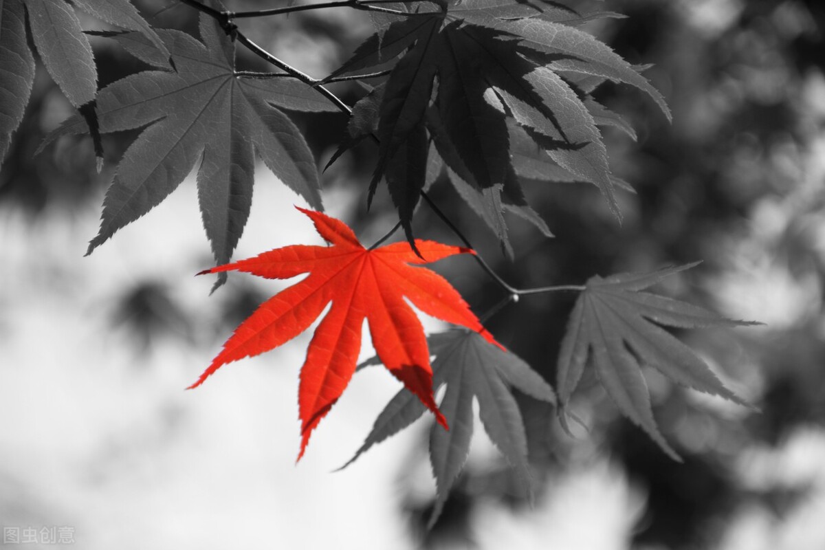 大道至简：精进，在于去繁就简；成才，在于做适合自己的事